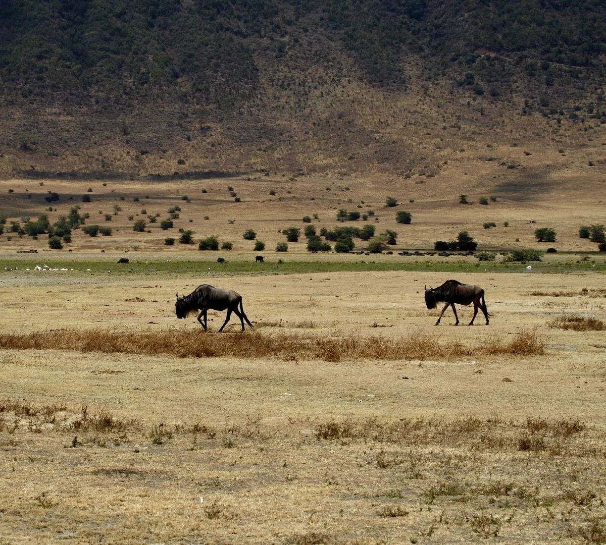 Tanzania Royal Tour